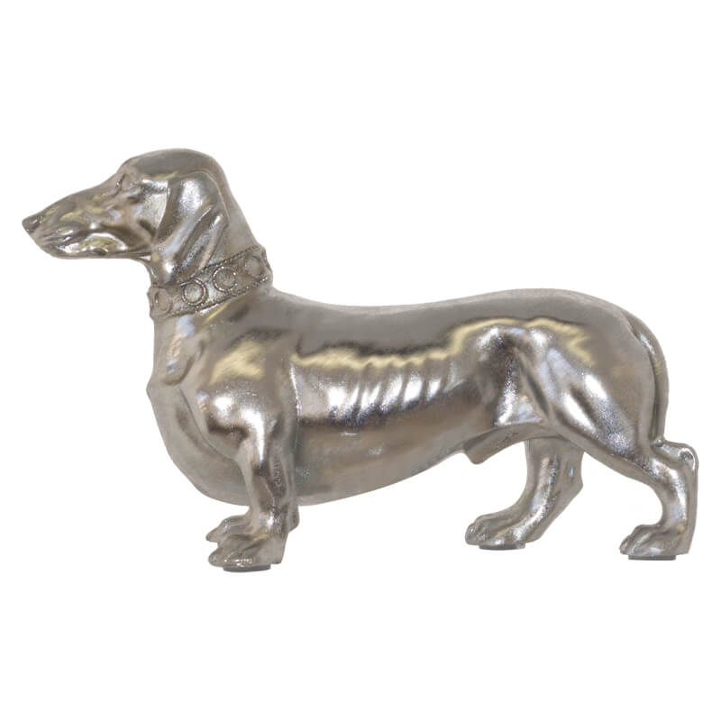 Silver dachshund