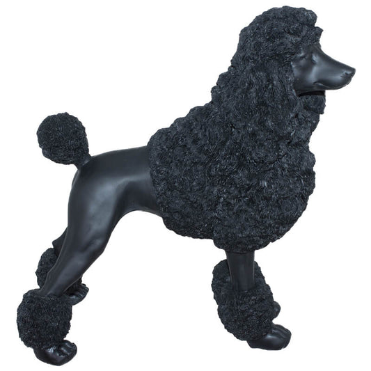 French poodle