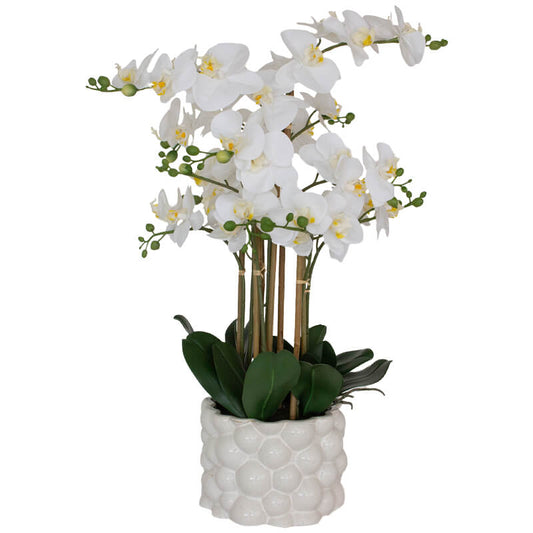 WHITE REAL TOUCH ORCHID