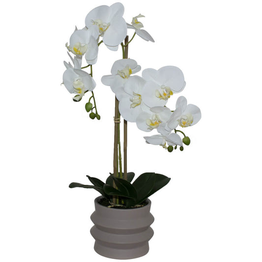 WHITE REAL TOUCH ORCHID RIPPLE POT