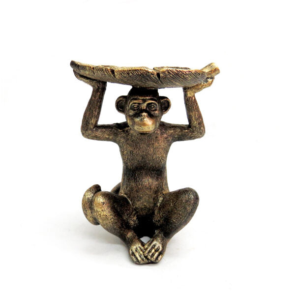 Monkey koko