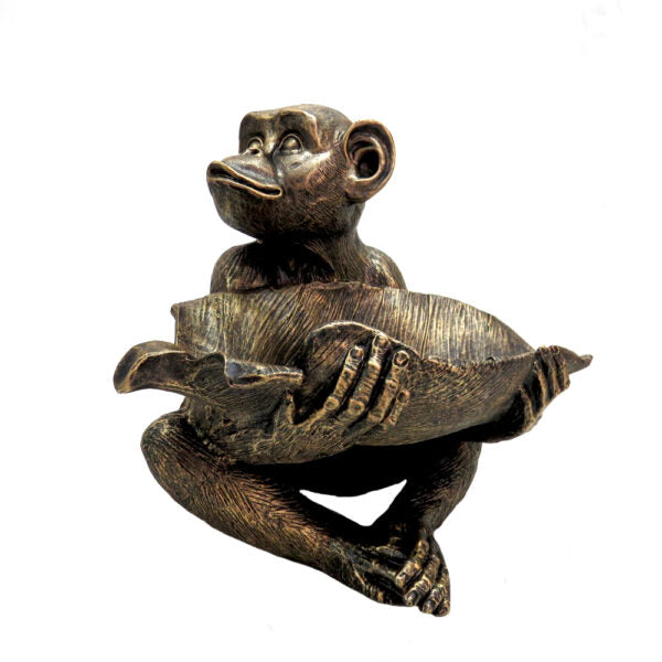 Romeo monkey